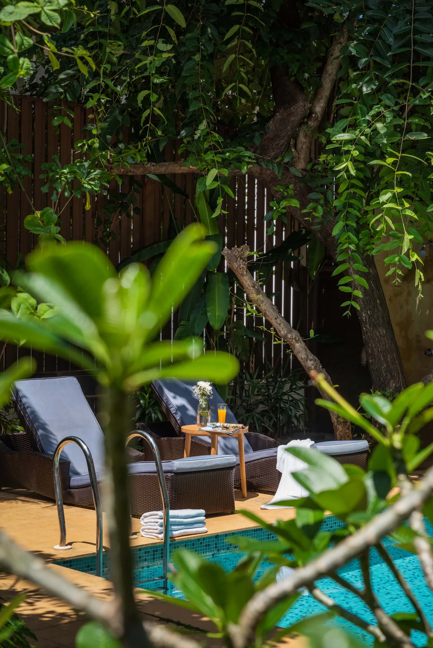 Elysia — Pool-side greenery